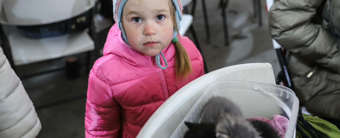 yakshcho-dytyna-zahubylasia-vashi-dii-17-mobile yakshcho-dytyna-zahubylasia-vashi-dii-17-image-mobile