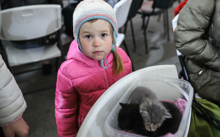 yakshcho-dytyna-zahubylasia-vashi-dii-17 yakshcho-dytyna-zahubylasia-vashi-dii-17-image