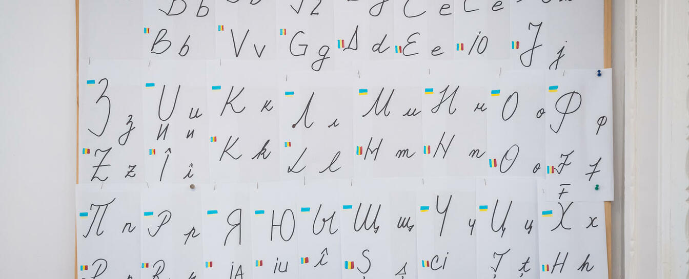 vymohy-dlia-zarakhuvannia-v-navchalnyi-zaklad-5 vymohy-dlia-zarakhuvannia-v-navchalnyi-zaklad-5-image