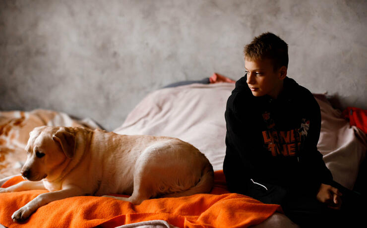 syndrom-bizhentsia-66 syndrom-bizhentsia-66-image